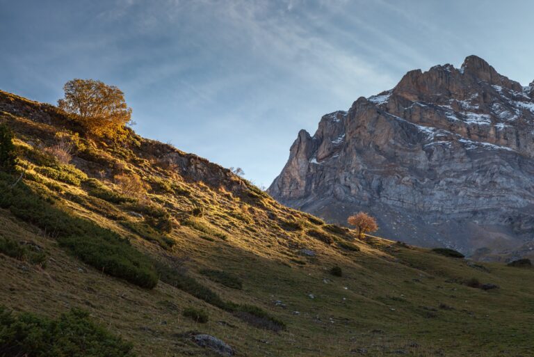 Hautes-Pyrénées