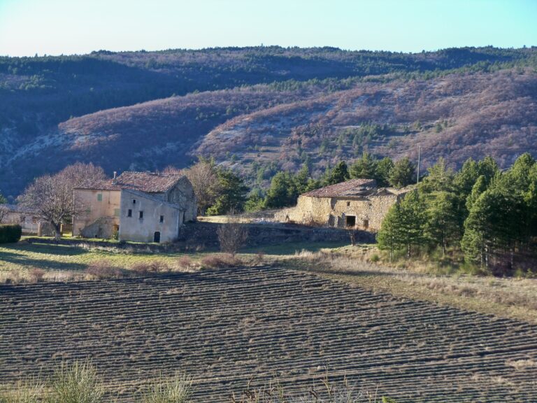 Vaucluse