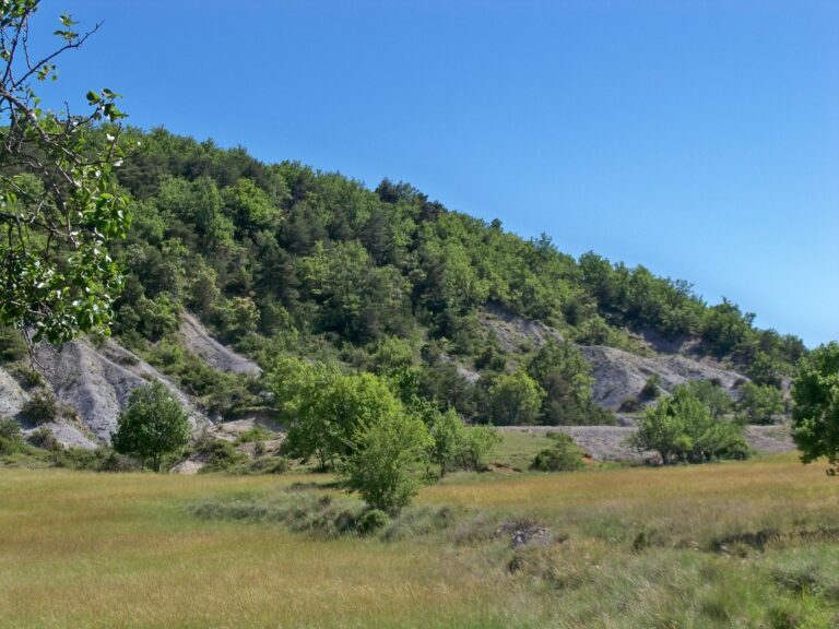 Alpes-de-Haute-Provence