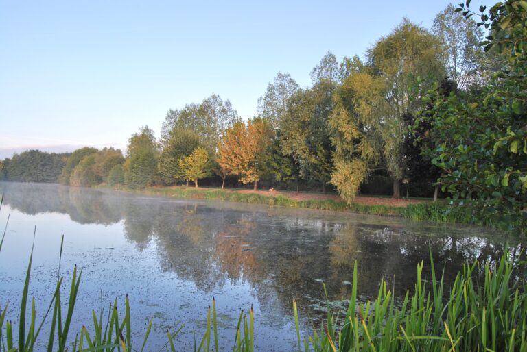 Sarthe