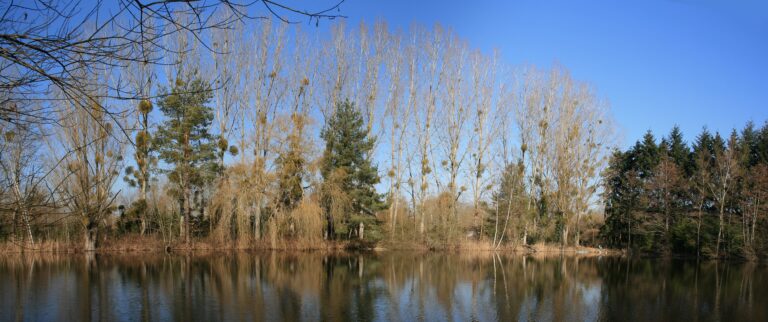 Loiret